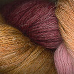 Close-up of several skeins of yarn in warm earthy tones, including rust orange, burgundy, tan, and dusty pink.