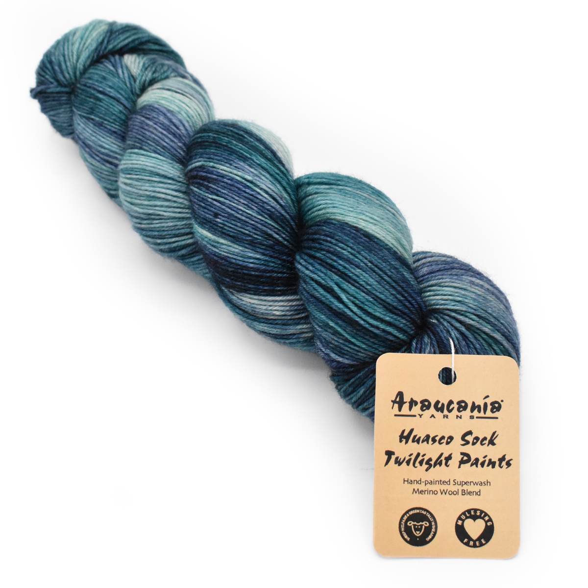 Araucania - Huasco Sock Twilight Paint Yarn