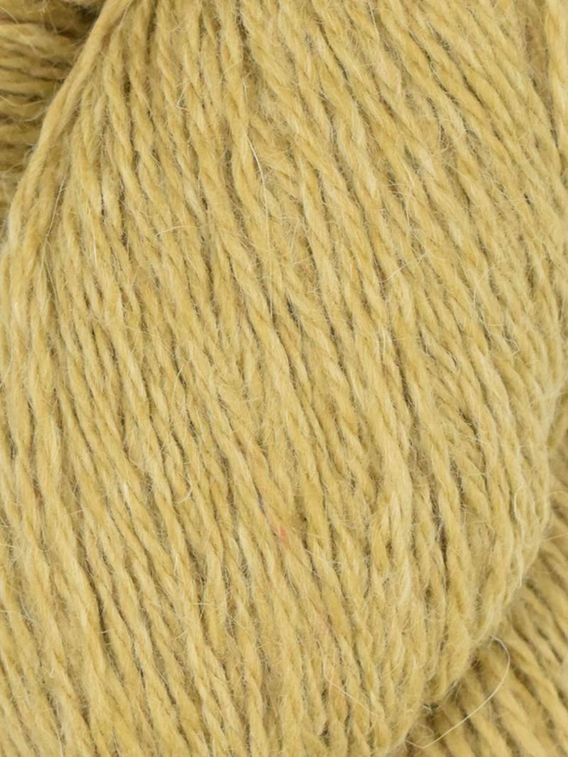 Queensland Collection - Lapin