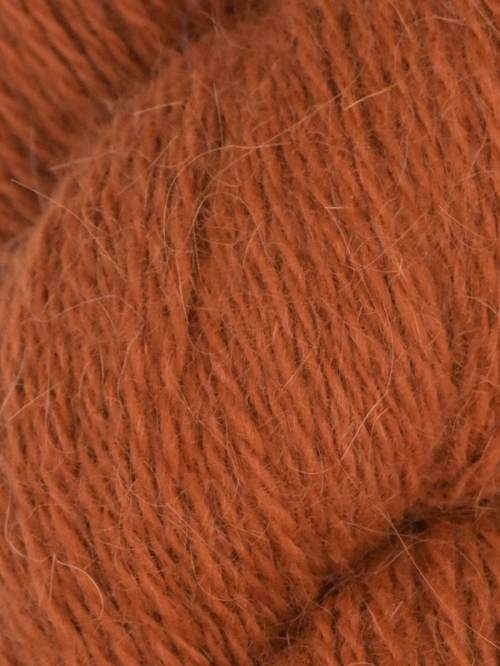 Queensland Collection - Lapin