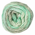 A single ball of variegated yarn with a color-shifting gradient from mint green to pale sage and light gray, photographed on a solid white background.