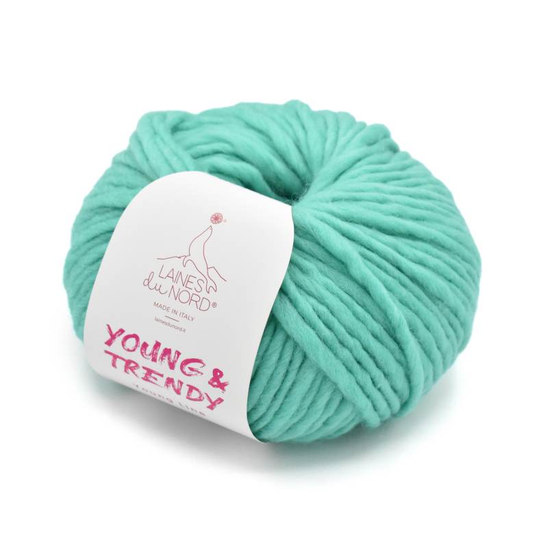 Laines Du Nord Young & Trendy Solid Wool Yarn
