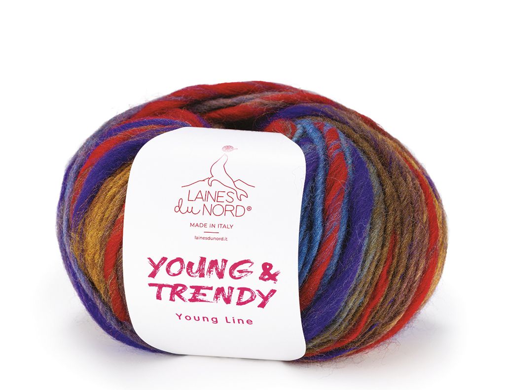 A skein of Laines du Nord Young & Trendy Young Line yarn, featuring a white paper label wrapped around a variegated wool bundle. The yarn displays a multicolor blend of red, blue, purple, and gold tones, set against a clean white background.