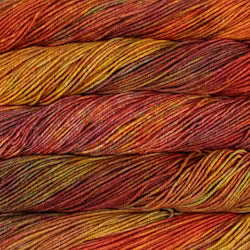 Close-up of variegated yarn skeins in warm autumnal shades of orange, red, yellow, and brown.